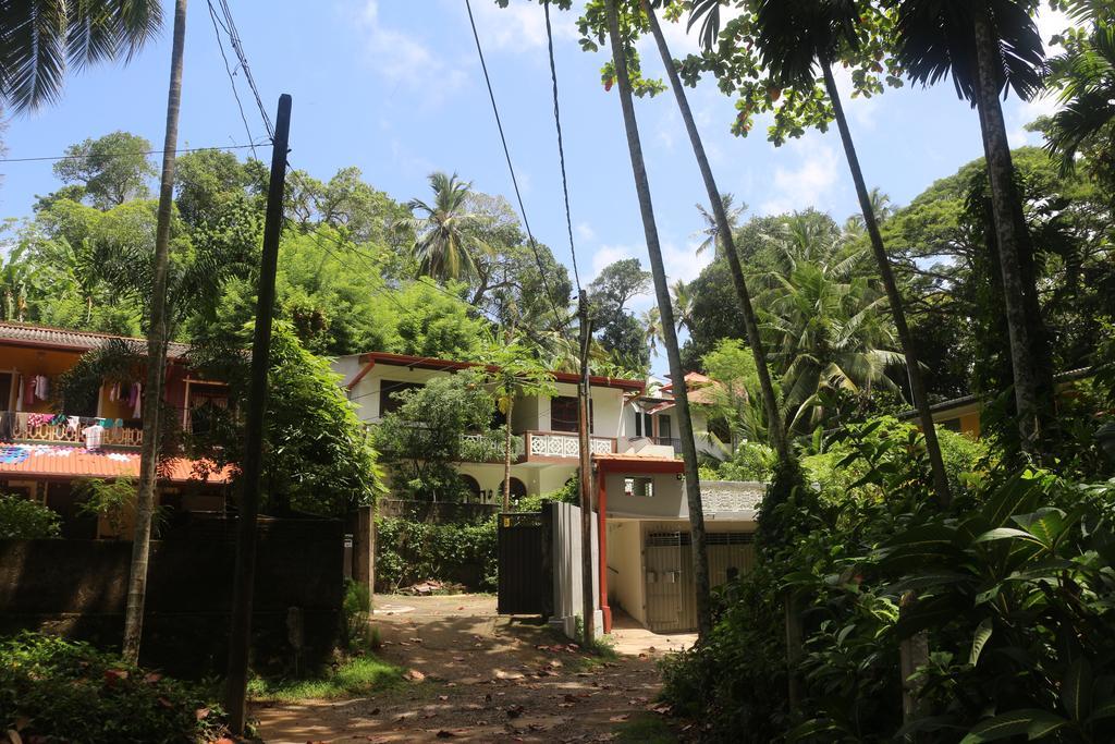 Jungle Guest House 갈레 외부 사진