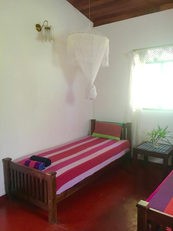 Jungle Guest House 갈레 외부 사진