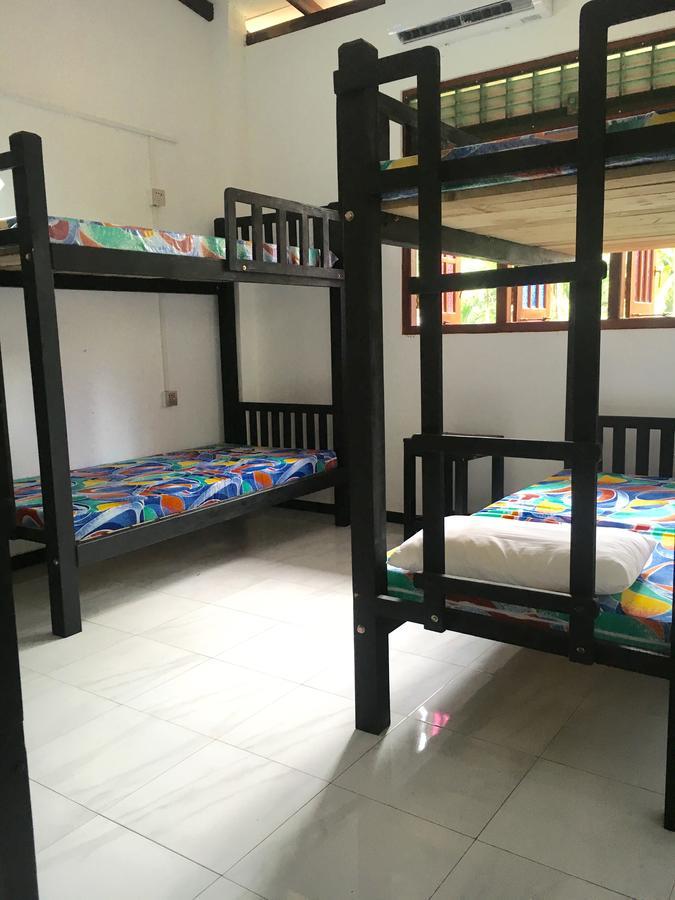 Jungle Guest House 갈레 외부 사진