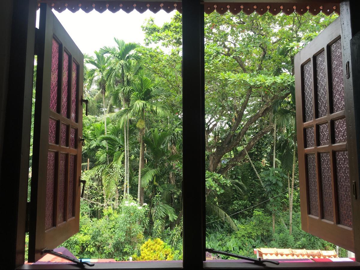Jungle Guest House 갈레 외부 사진